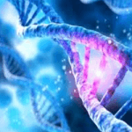 Perbedaan Kromosom, DNA, dan Gen Sebagai Materi Genetik