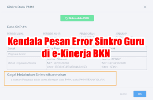 Kendala Pesan Error Sinkro Guru di e-Kinerja