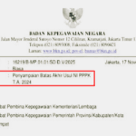 Surat Edaran Penyampaian Batas Akhir Usul NI PPPK TA 2024