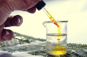 Faktor-faktor yang Memengaruhi Laju Reaksi Kimia