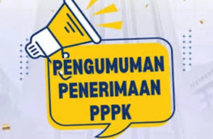 Tahapan Seleksi PPPK Kemenham 2025 dan Penentuan Kelulusannya