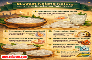 Manfaat Kolang-kaling Untuk Jaga Kesehatan Tubuh Saat Puasa