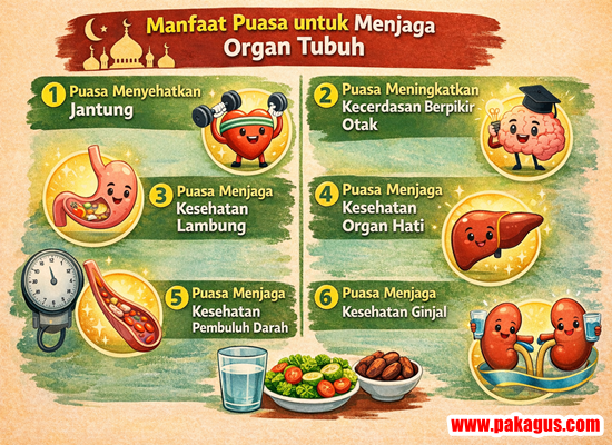 Manfaat Puasa untuk Menjaga Kesehatan Organ Tubuh